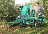 Mechaniczny zbiór jabłek w sadzie LODR