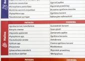 Panel chorób bakteryjnych i grzybowych wybranych roślin jagodowych
